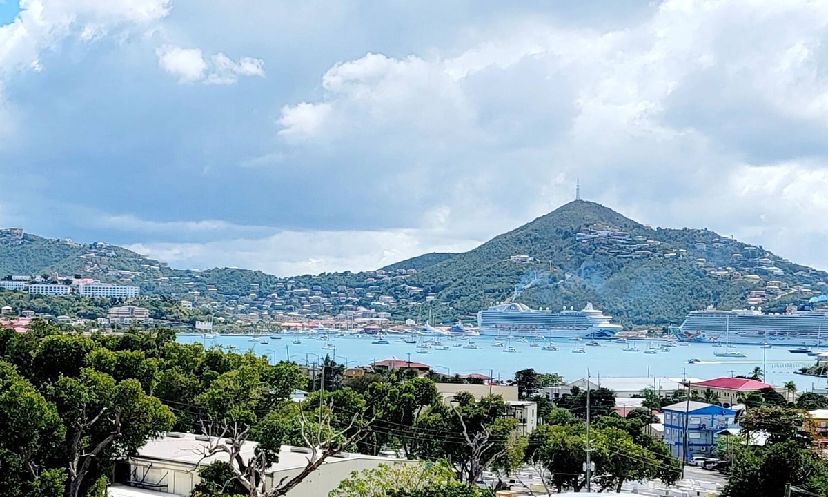 Estate Demarara Apartment | 2-BR apt in beautiful St Thomas filled with local flava