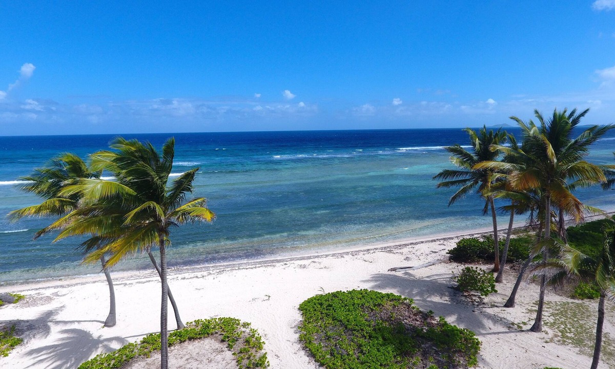 La Grande Princesse Condo | Beachfront Pelican Cove Penthouse Condo