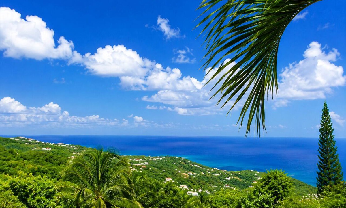 Estate Thomas House | Spacious, quiet & comfortable 4 queen size beds with AC in beautiful St Croix.