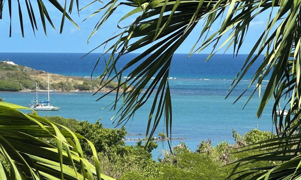 Estate Saint John Villa | St Croix Luxury 4 Bedroom Villa Private Pool and Ocean View. Judith's Fancy