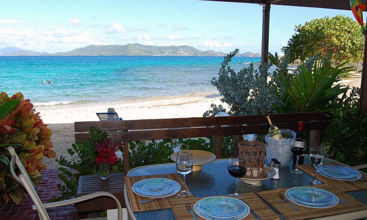 Red Hook Condo | "THREE PALMS"~ON beach, remodeled, private patio, generator, pool, quiet & clean