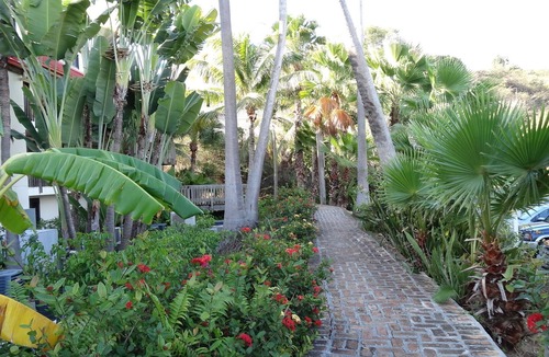 Red Hook Condo | ST. THOMAS RIVIERA FULLY RENOVATED 1 BEDROOM VILLA WITH 2 FULL BATHS AND 2 DECKS