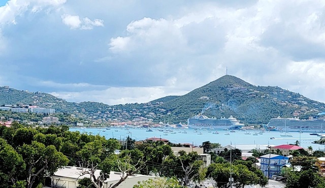 2-BR apt in beautiful St Thomas filled with local flava