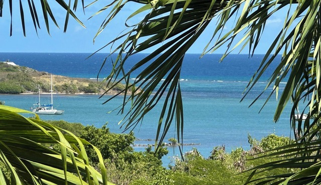 St Croix Luxury 4 Bedroom Villa Private Pool and Ocean View. Judith's Fancy
