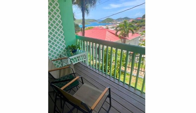 The Green Iguana Hotel