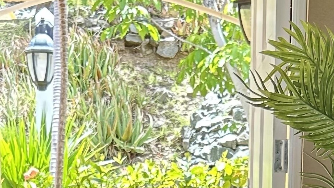 Photo of Others in Teagues Bay