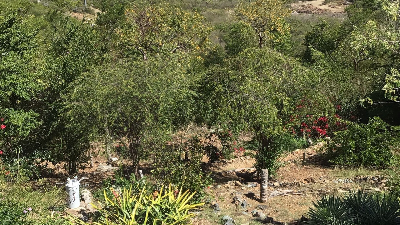 Photo of Outdoor in St. Thomas