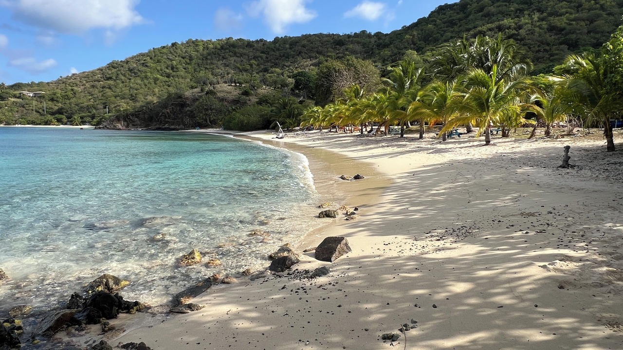 Photo of Others in Johnson Bay