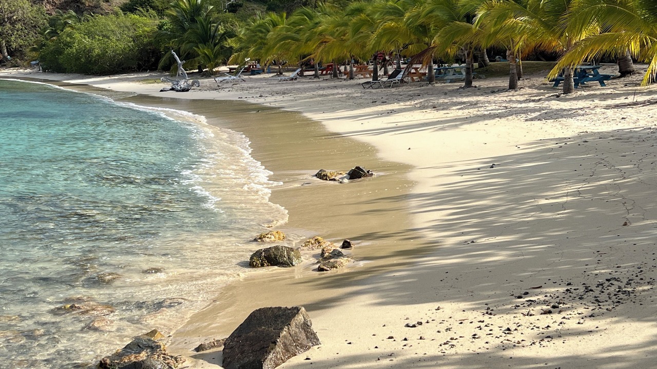 Photo of Others in Johnson Bay