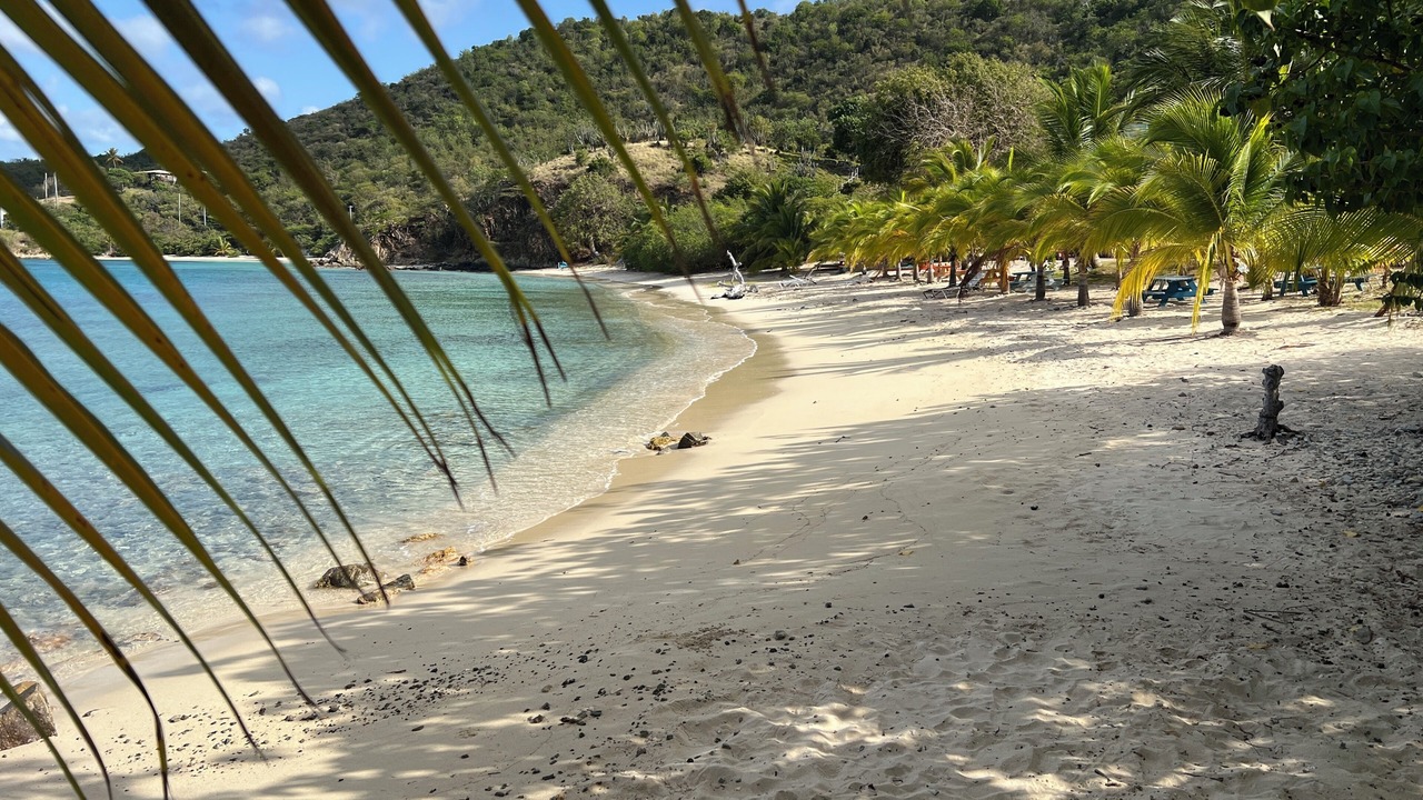 Photo of Others in Johnson Bay
