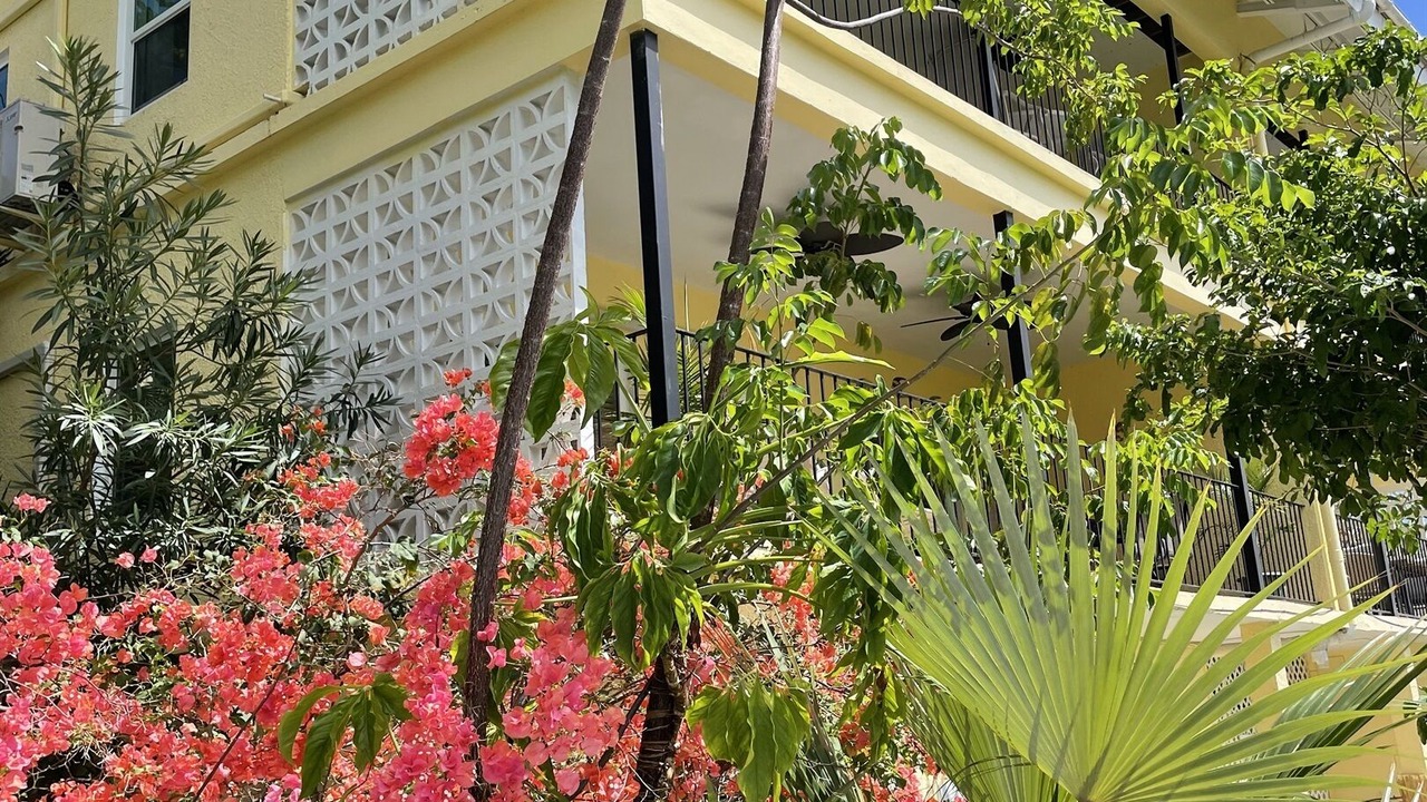 Photo of Outdoor in Estate Enighed