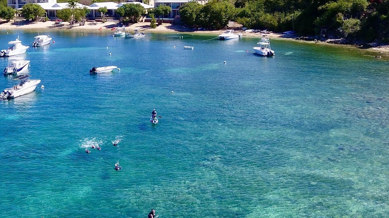 Photo of Others in Estate Chocolate Hole and Great Cruz Bay