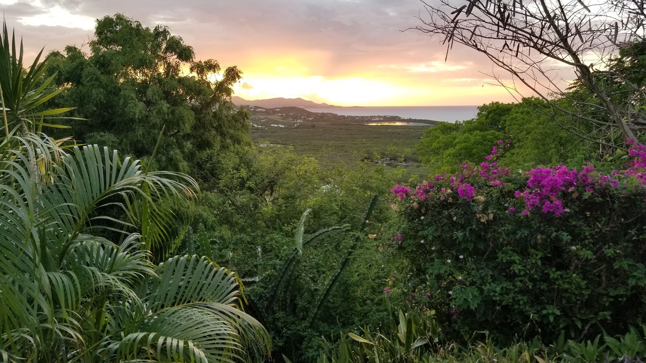 Photo of Others in Estate Green Cay