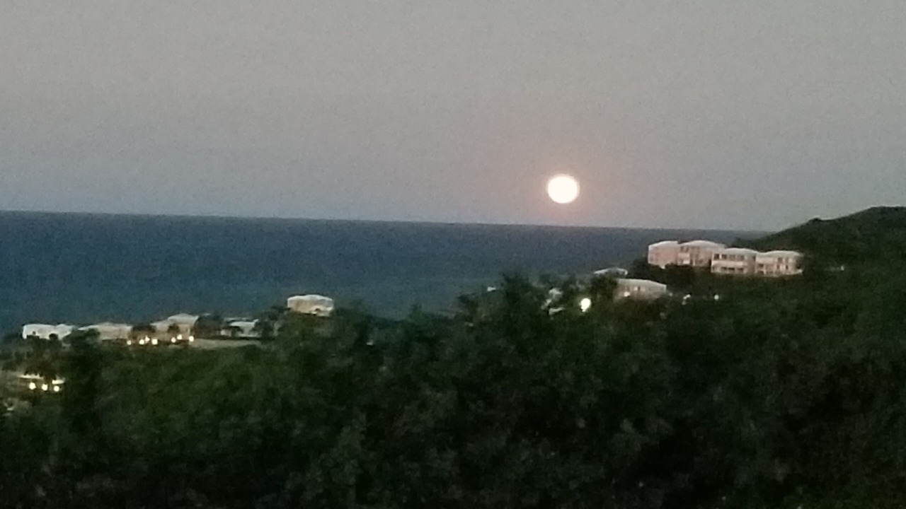 Photo of Others in Estate Green Cay