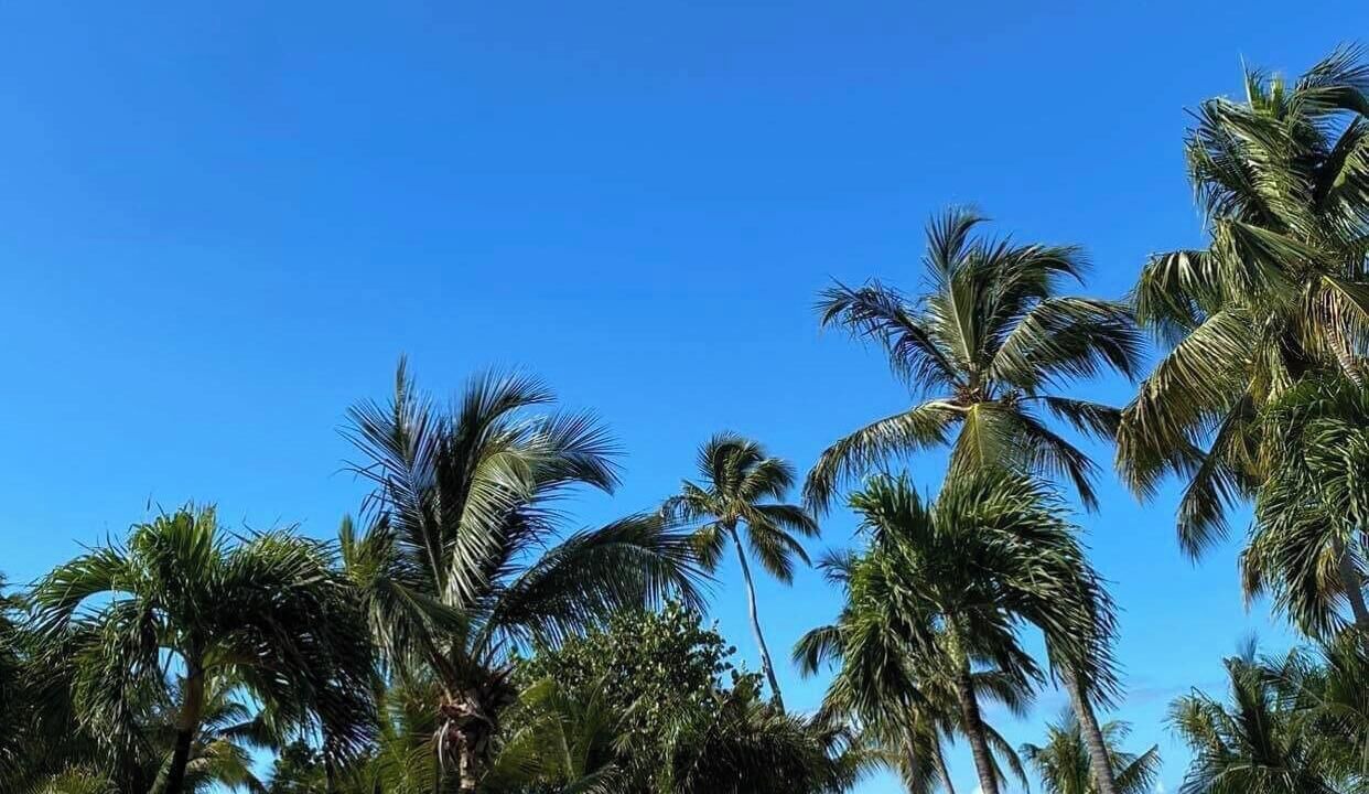 Photo of Outdoor in Estate Frenchman Bay