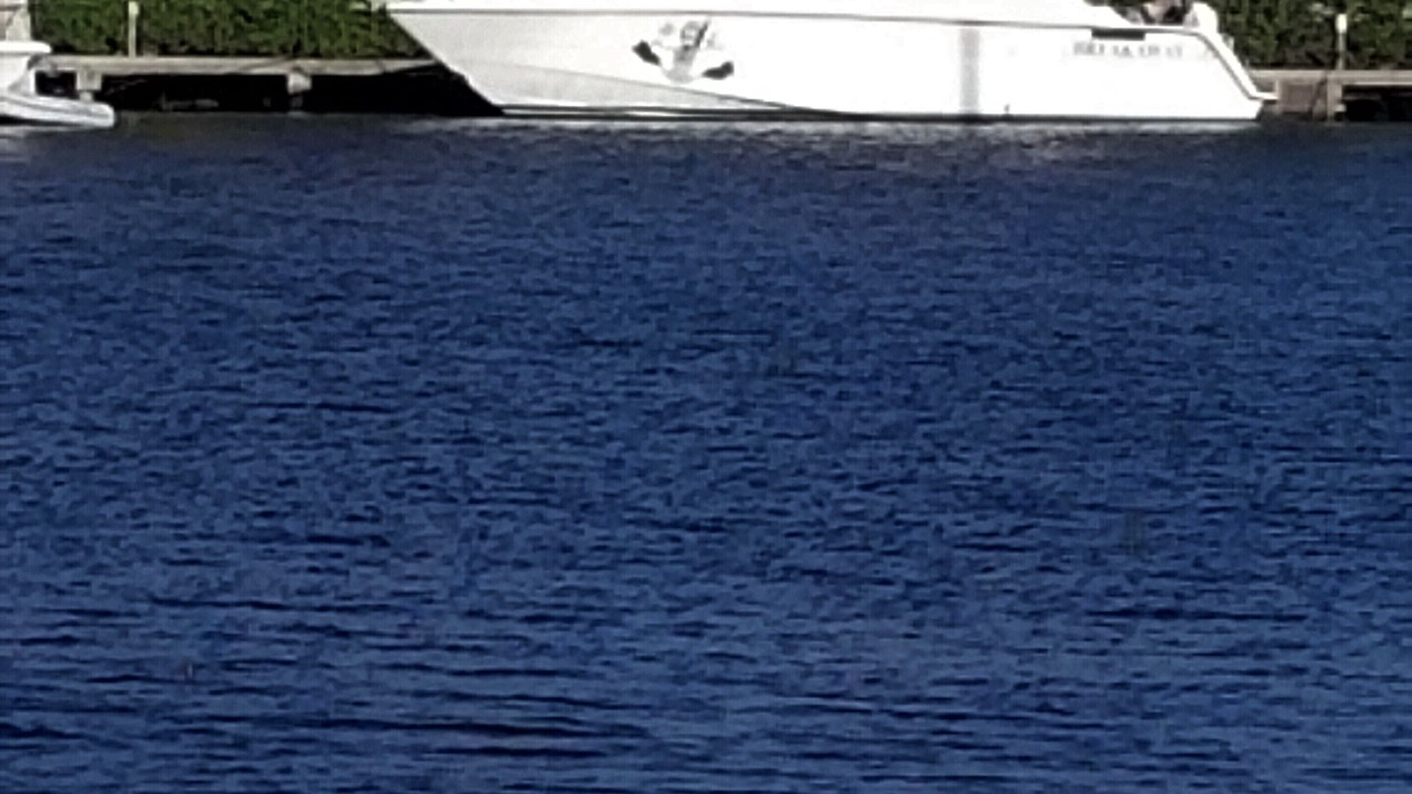 Photo of Others in Red Hook