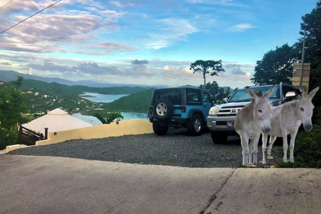 Photo of Others in Estate Carolina