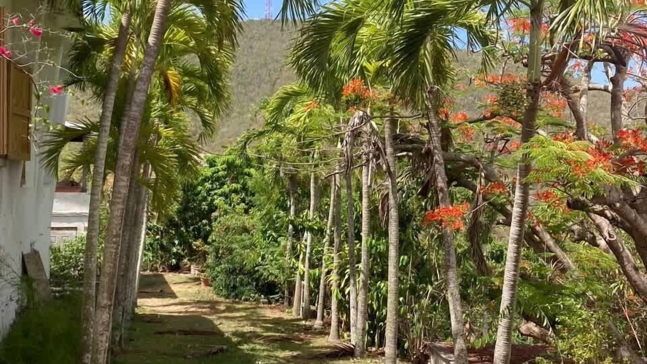 Photo of Outdoor in Estate Raphune