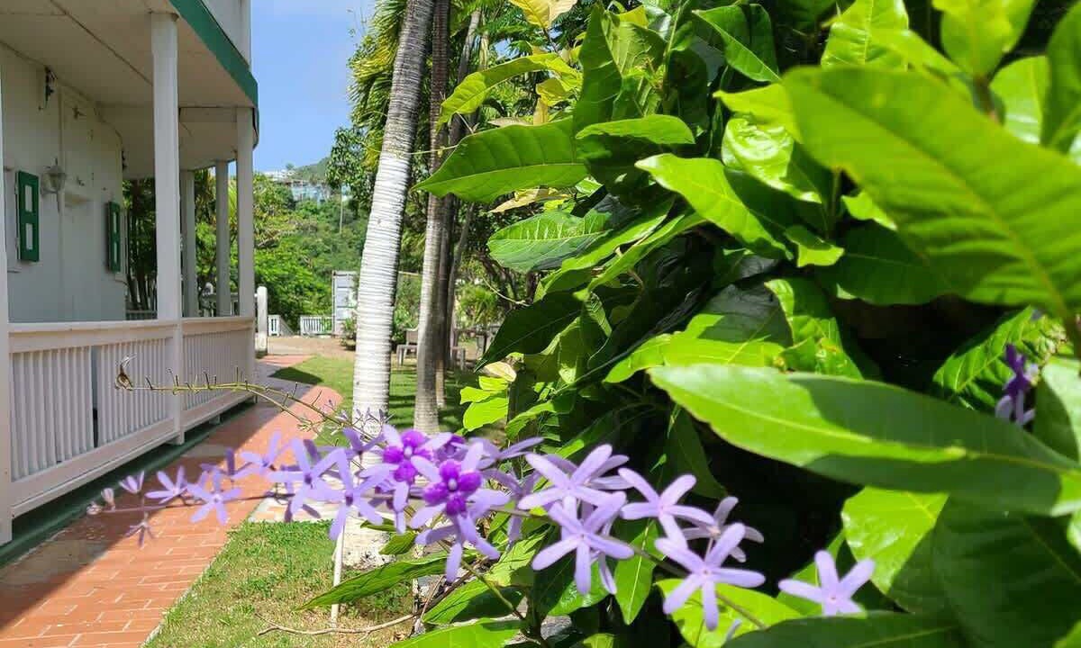 Photo of Outdoor in Estate Raphune