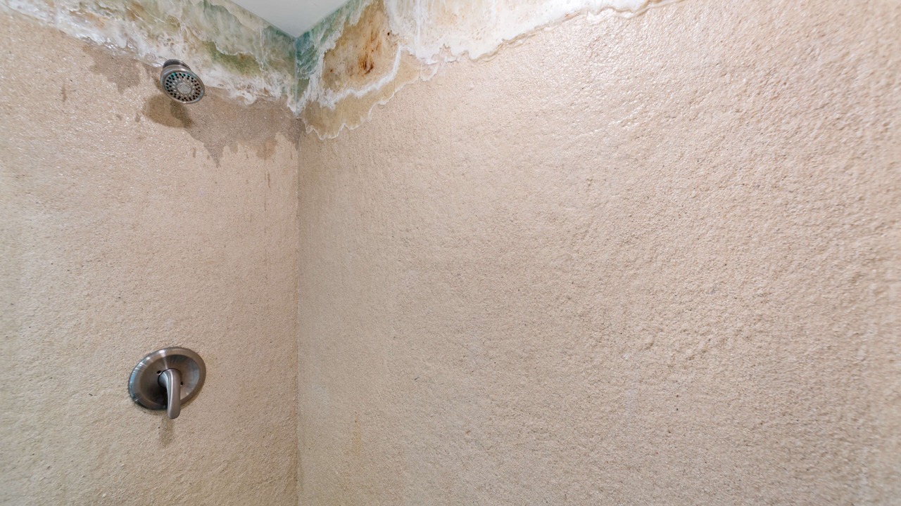 Photo of Bathroom in Red Hook