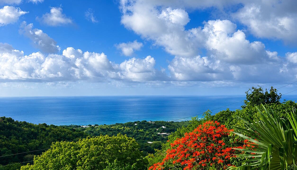 Photo of Others in Frederiksted Southeast