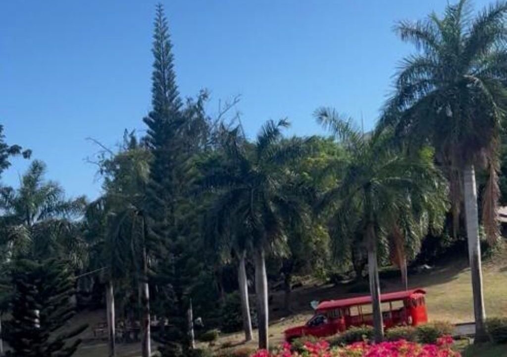 Photo of Outdoor in Altona