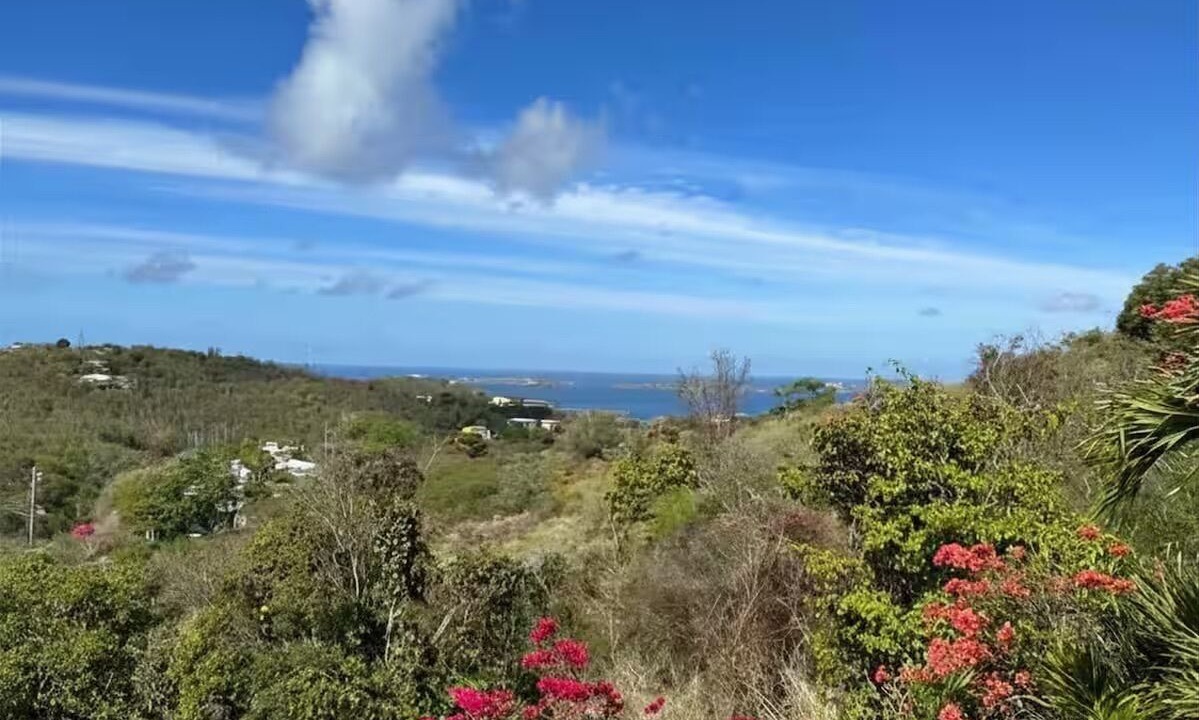 Photo of Others in Estate Caneel Bay