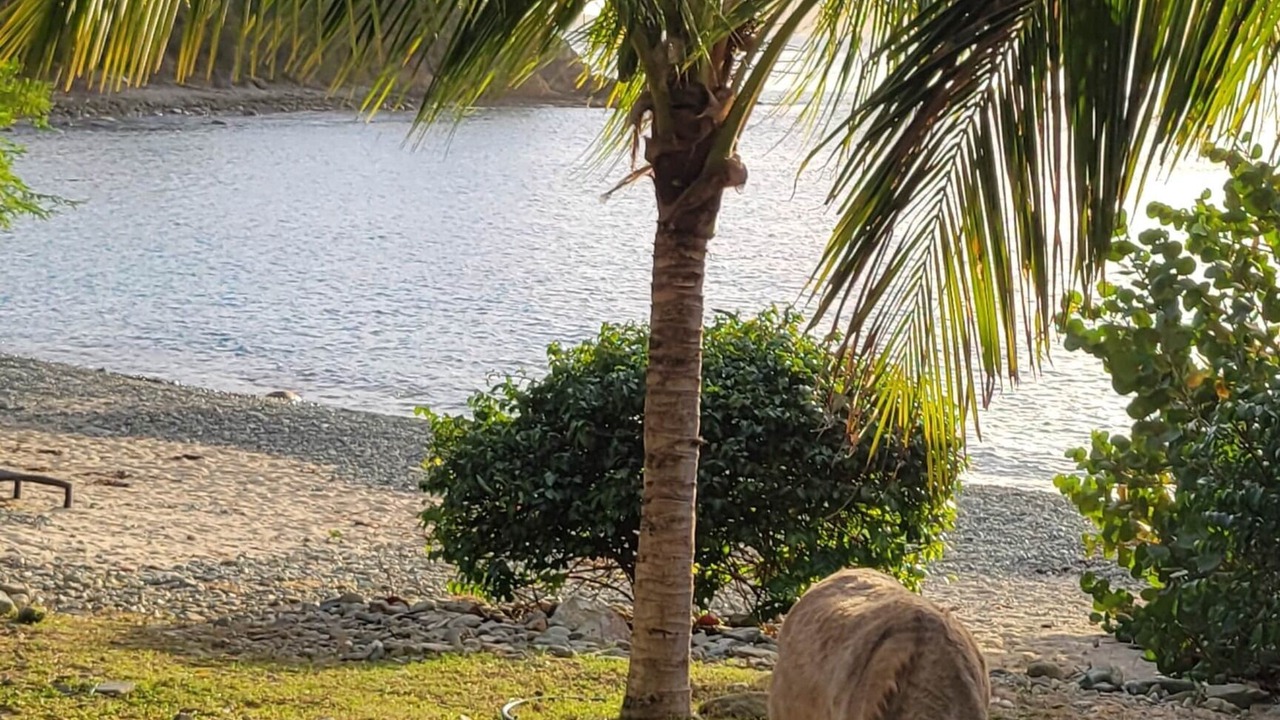 Photo of Others in Estate Hansen Bay