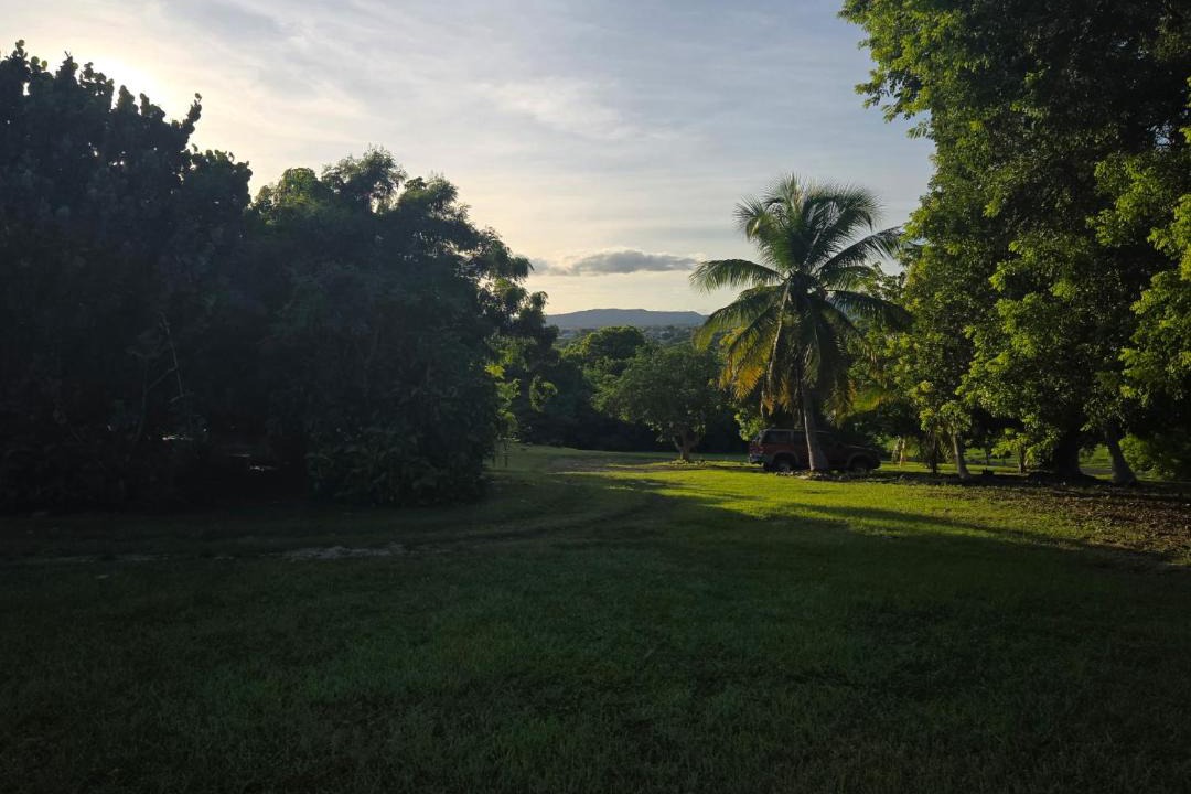 Photo of Others in Estate Work and Rest
