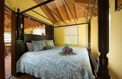 Upper Carolina Cottage | Affordable St John Cottage with a Pool, AC & Amazing Tropical Gardens